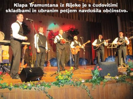 8. tradicionalni Valentinov koncert 2014 7